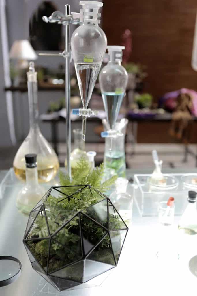 38 Fantastic Moss Terrarium Ideas You Can Have At Home