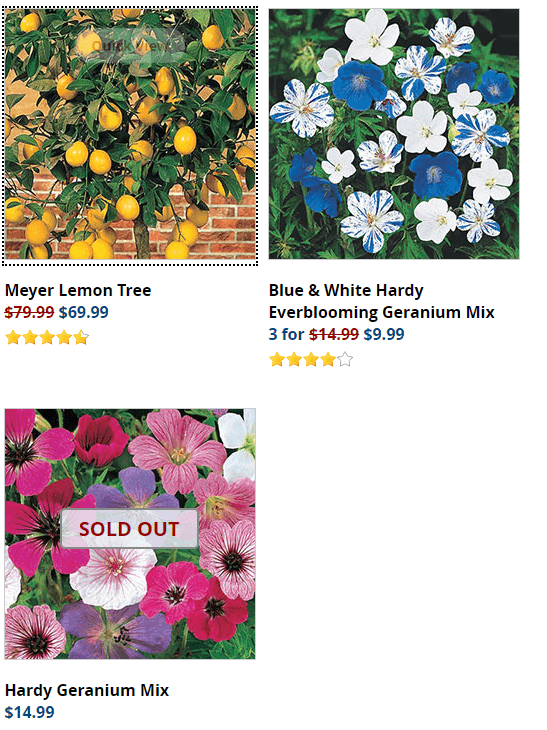 Michigan Bulb website product page