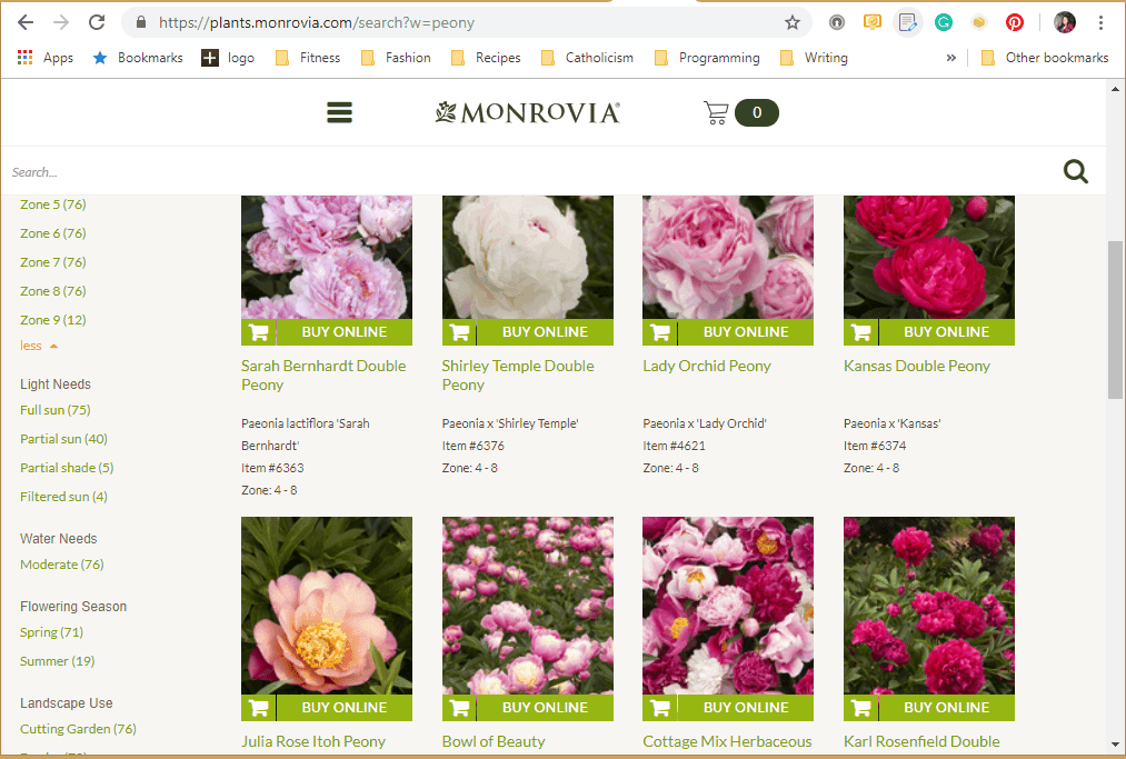 Where to Buy Peony Plants or Bulbs Online (Top 50 Stores)