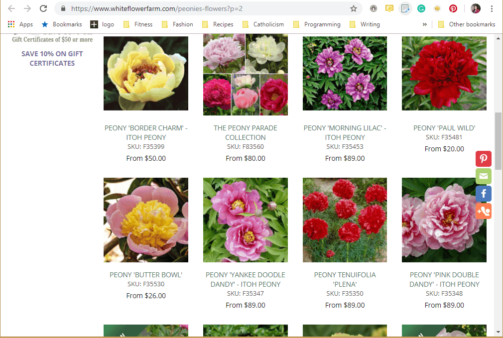 Where to Buy Peony Plants or Bulbs Online (Top 50 Stores)