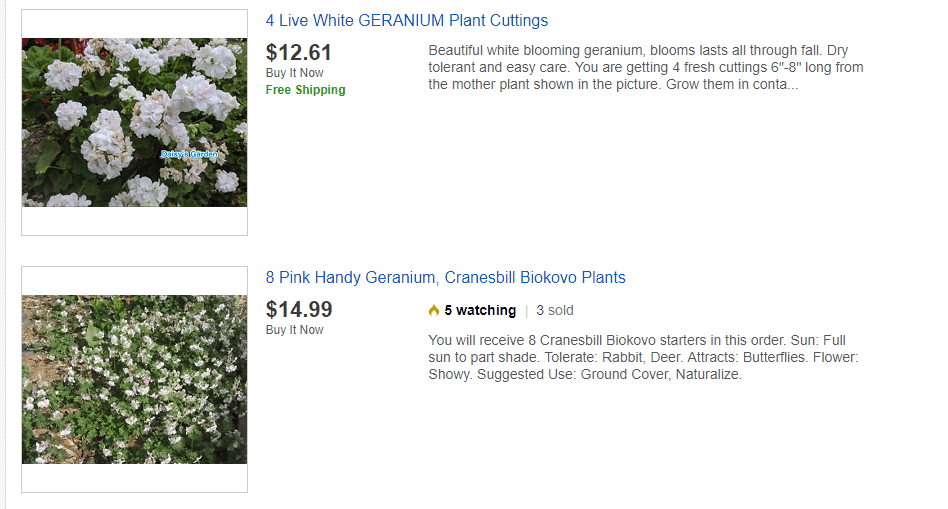 eBay website product page