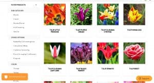 Easy to Grow bulbs website product page for tulip bulbs