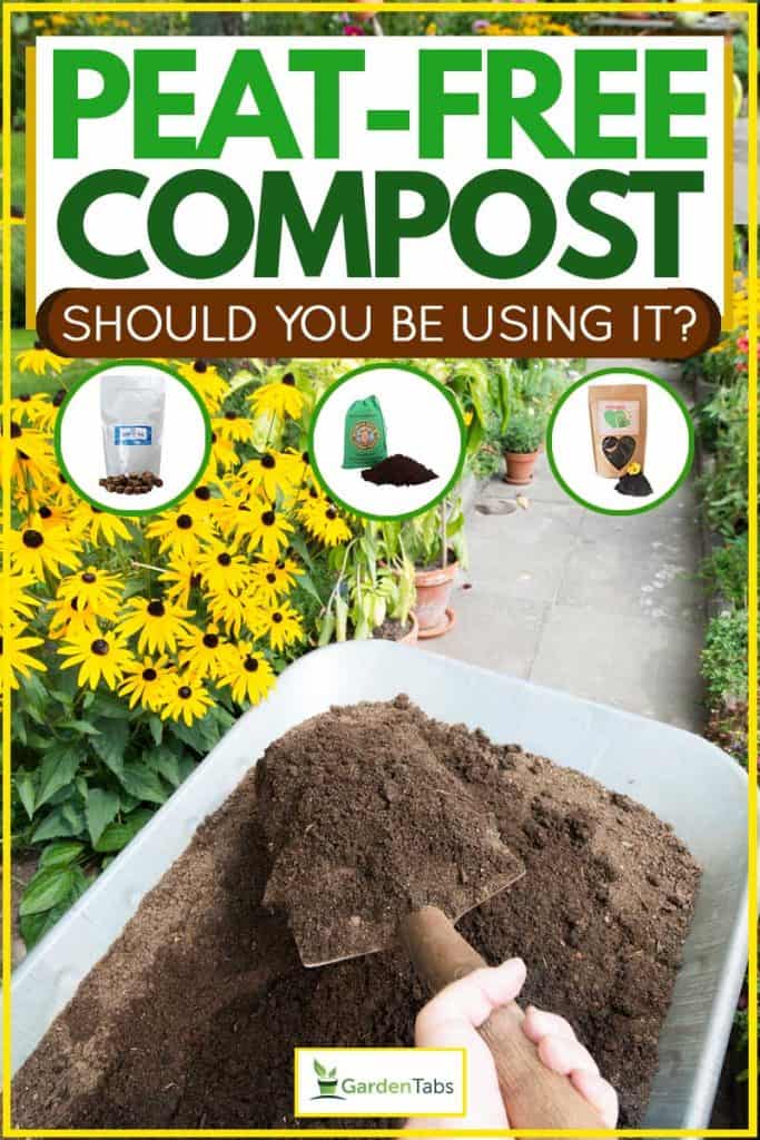 Gardener picking up compost soil and applying it to flowerbed