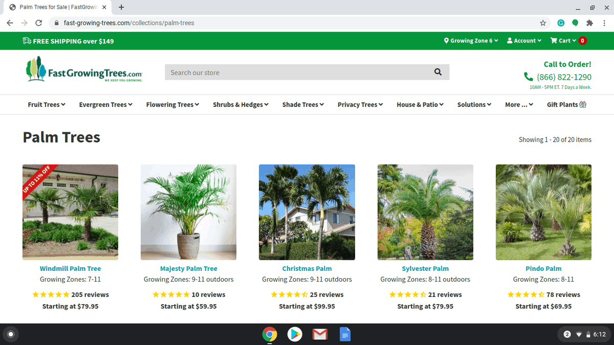 Where To Buy Palm Trees [29 Online Stores]