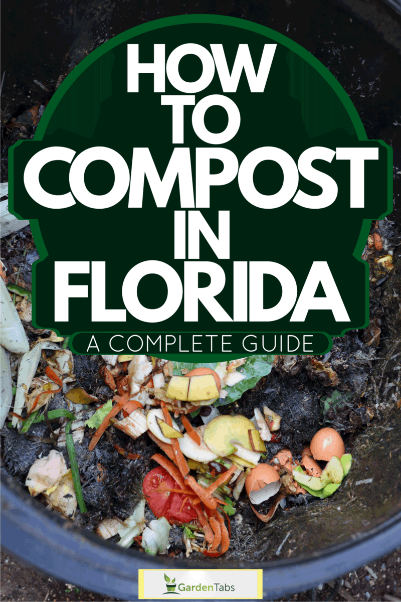 How To Compost In Florida [A Complete Guide]