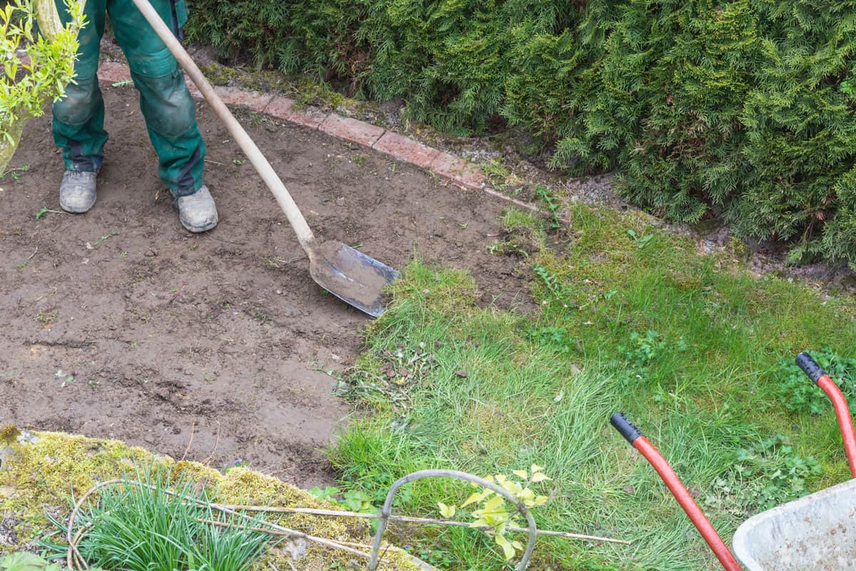 Can I Put Topsoil Over Existing Grass And Reseed?