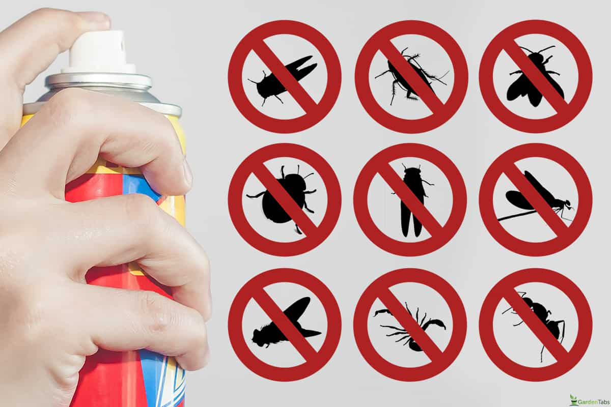 Pest control using Raid aerosol insect spray, Will Raid Damage Vinyl Siding? [What Homeowners Should Know!]