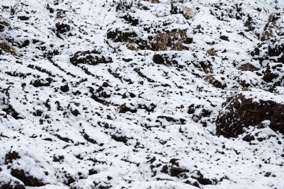 The soil under the snow. A cultivated field in winter. A thin layer of snow on a field in winter.
