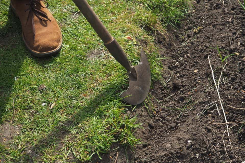 How To Use A Half Moon Edger [Step By Step Guide]