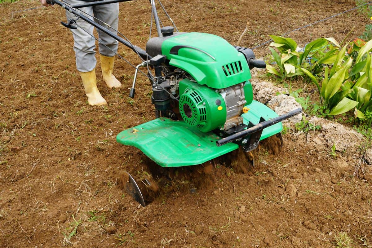 Man working in the spring garden with tiller machine. with rototiller, tiller tractor, cutivator, miiling machine.