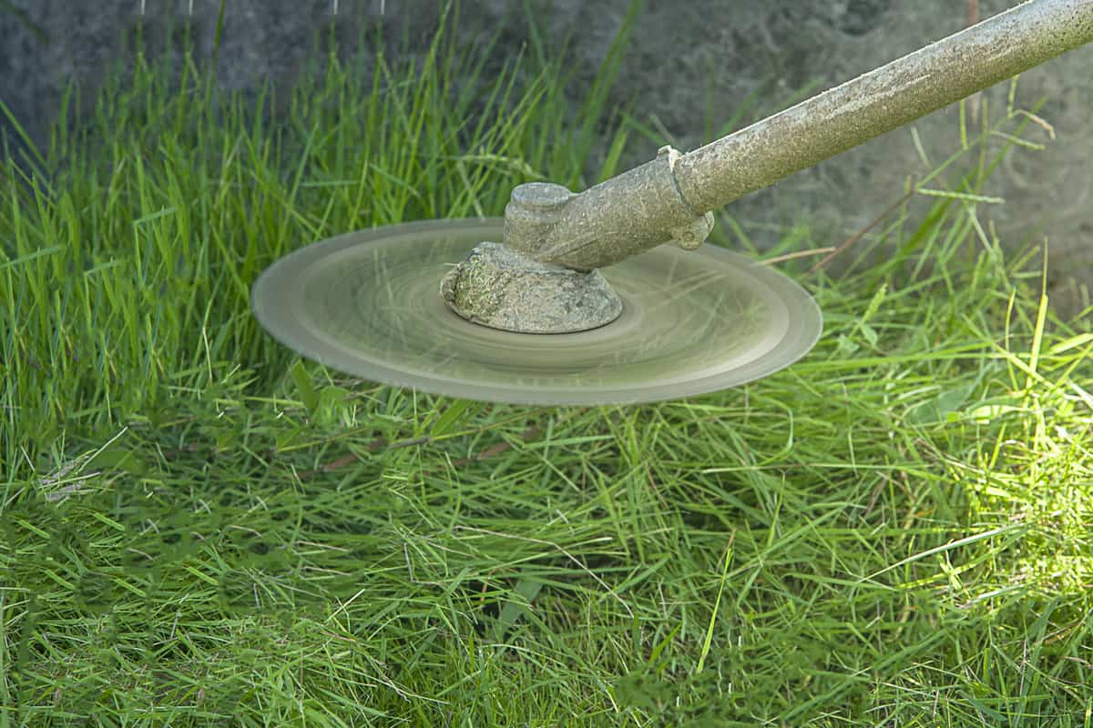 Mower blades are sharp cutting grass on the front lawn