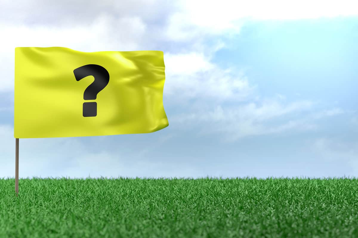 Yellow Flags In Yard What Do They Mean? [Here's What You Should Know!]