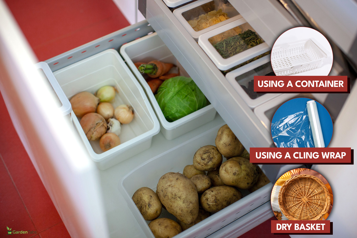 Storing vegetables in the kitchen. Storage organization., Can You Eat Vegetables With Whitefly?