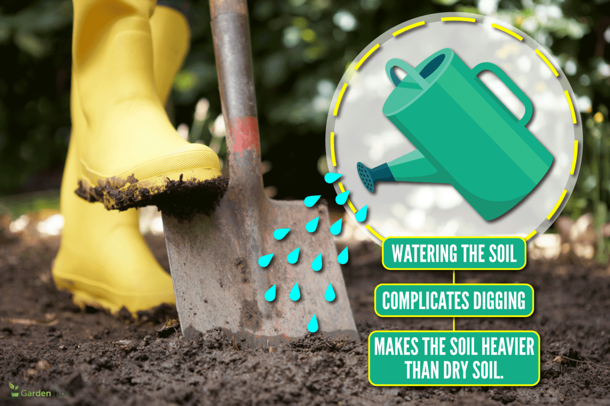 Should I Wet The Ground Before Digging?
