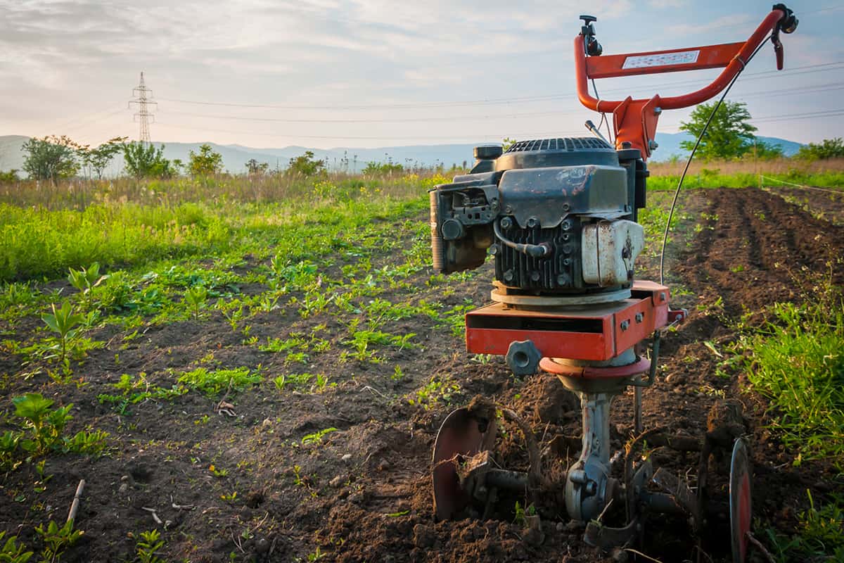 Using garden tiller to remove weeds