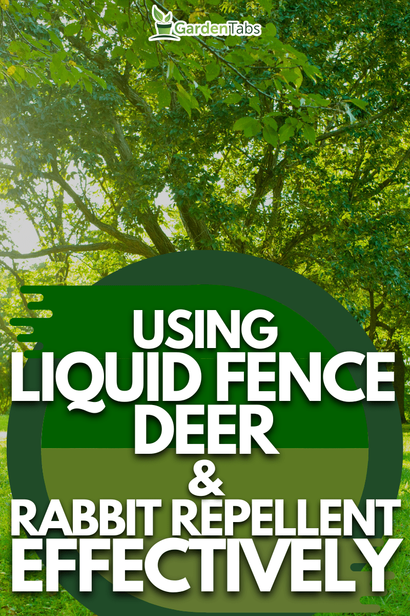 How To Effectively Use Liquid Fence Deer & Rabbit Repellent