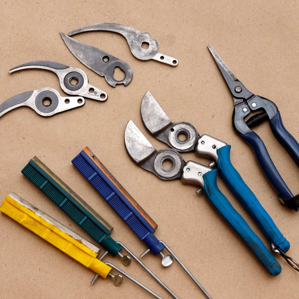Secateurs disassembled, next to tools for sharpening pruning shears