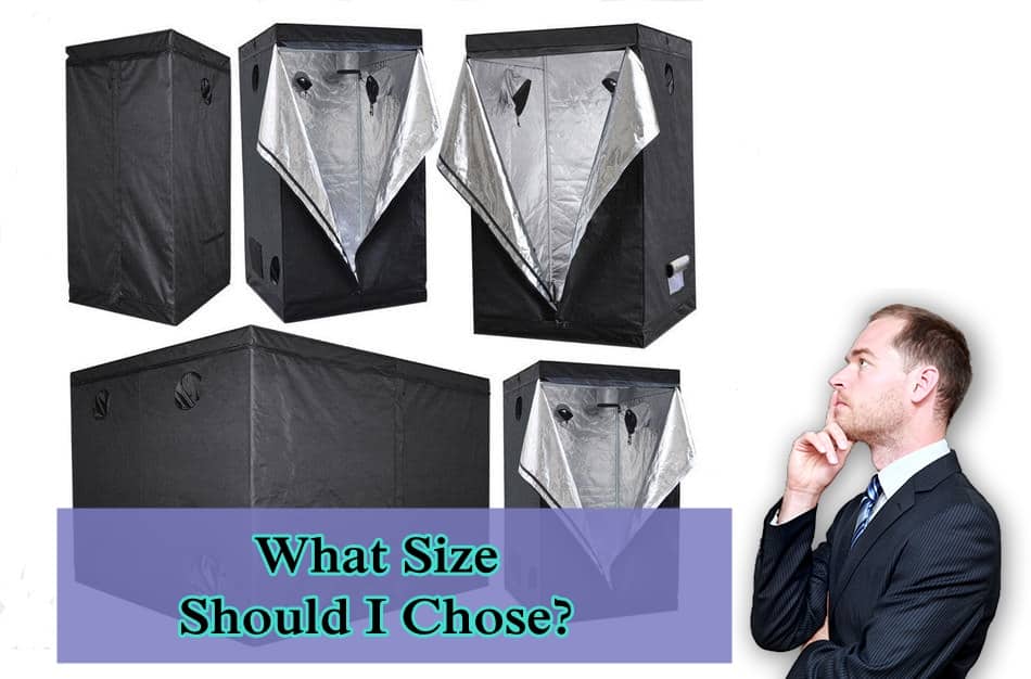 Grow Tent Size Guide According to Plants