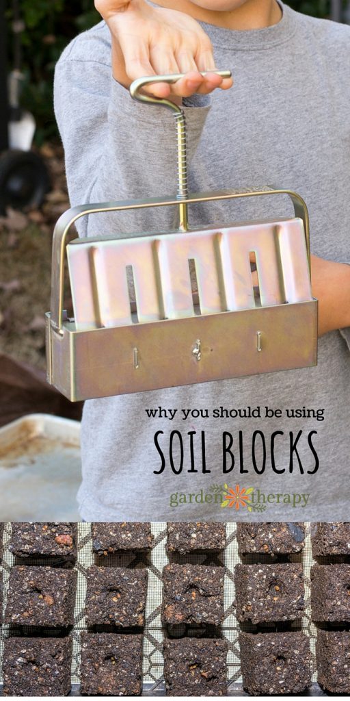 Soil blocks give seedlings the best start…but that is not why you should use them