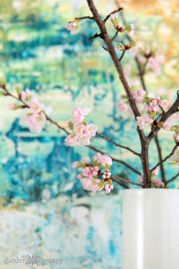 Forcing Flowering Branches indoors in front of colorful painting