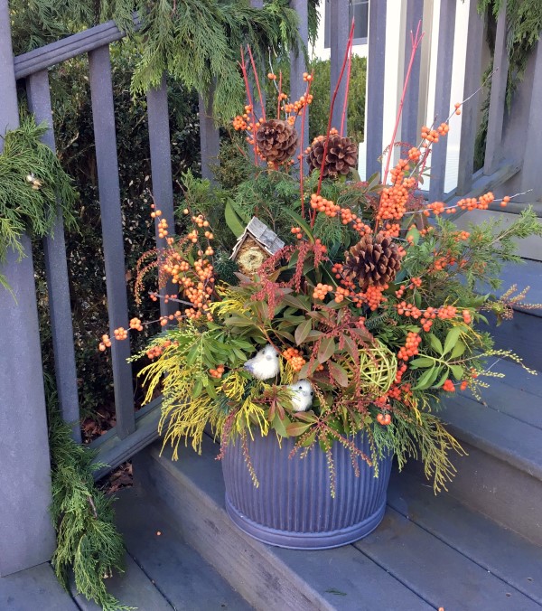 Garden Therapy Page 3 of 138 DIY Garden Projects, Yummy Recipes