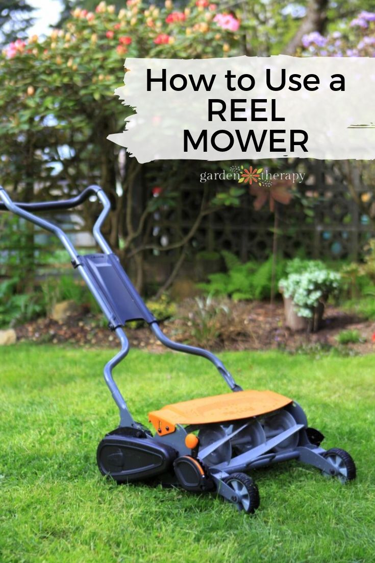 Lawn Care Unplugged How to Use a Reel Mower Garden Therapy