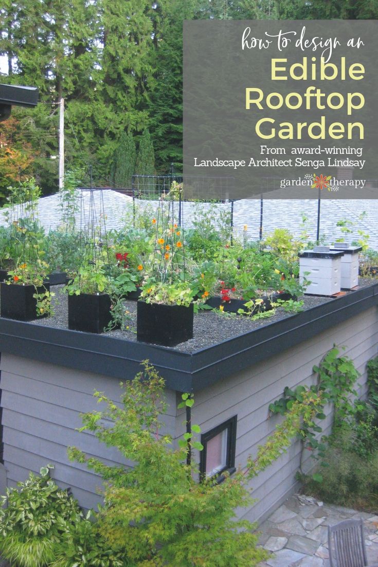 Grow up! Build an Edible Rooftop Garden Garden Therapy