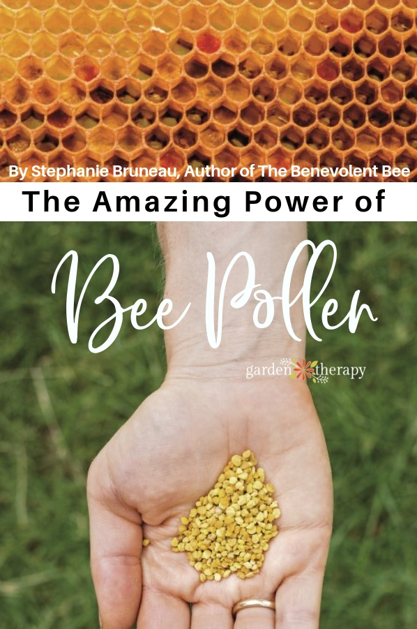 The Amazing Power of Bee Pollen Garden Therapy