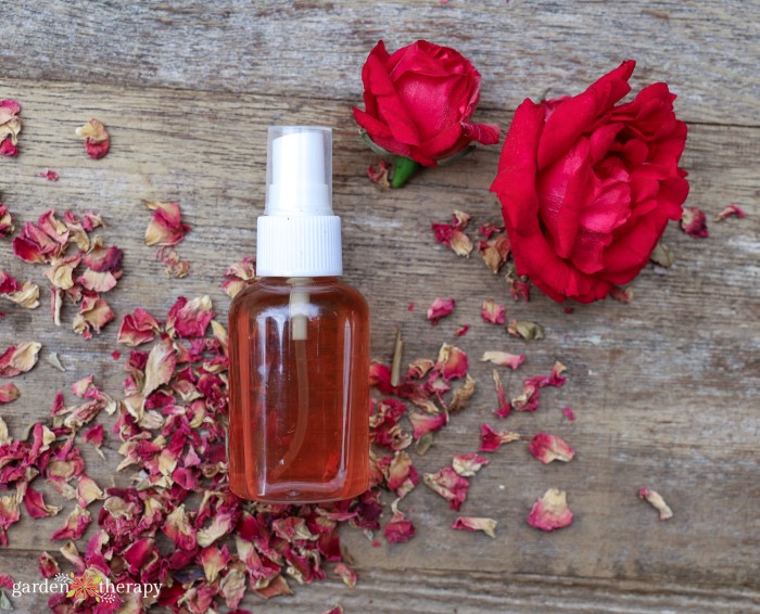 DIY rose water spray made from dried rose petals.
