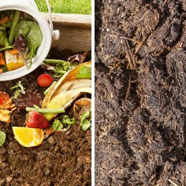 Is Compost and Manure the Same Thing?