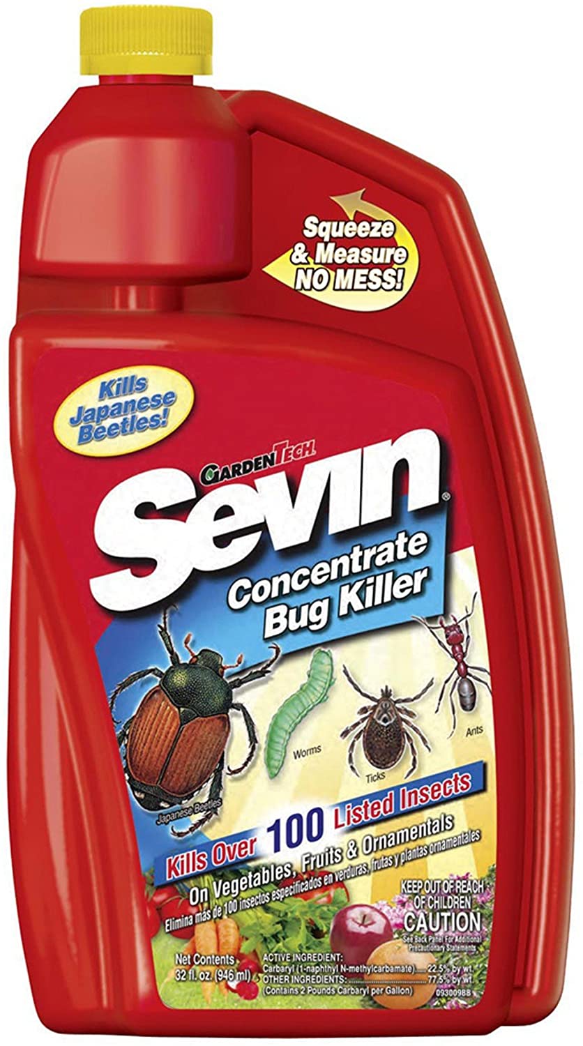 6 Best Insecticides for Roses Guide GardenTooly