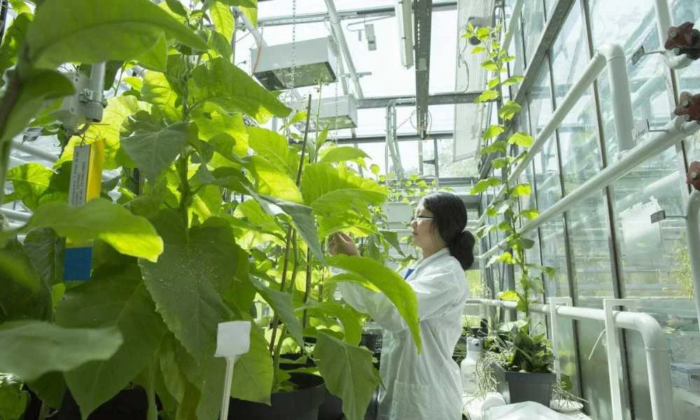 How To Follow a Job In Greenhouse?