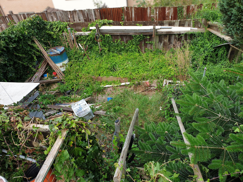 Garden Clearance, Torquay Garden Waste Away