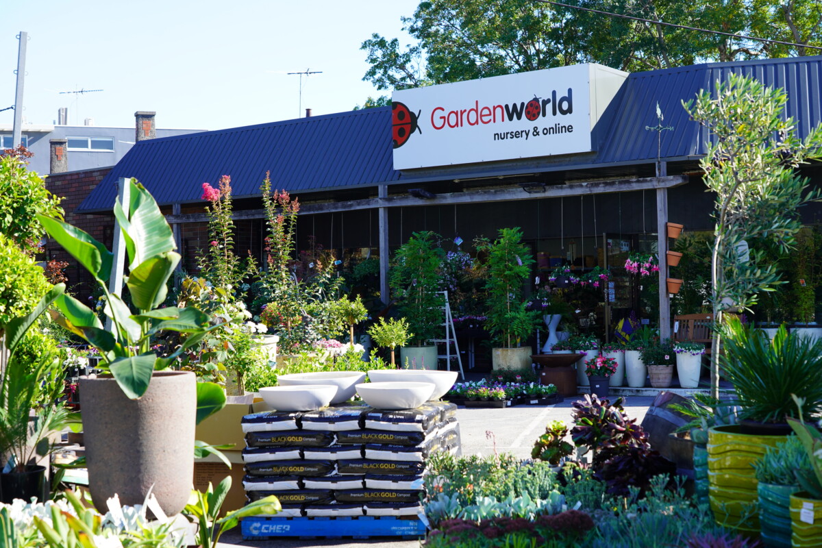 Bayside Gardenworld Garden World