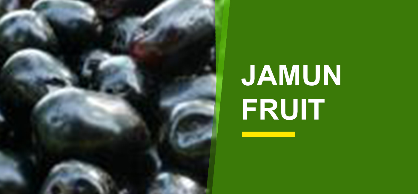 Jamun Fruit Online India Buy Jamun In English Garden World