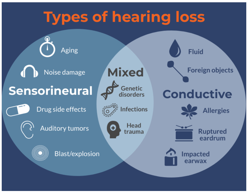 Gardner Hearing Doctors Share What Causes Hearing Loss? Gardner Audiology
