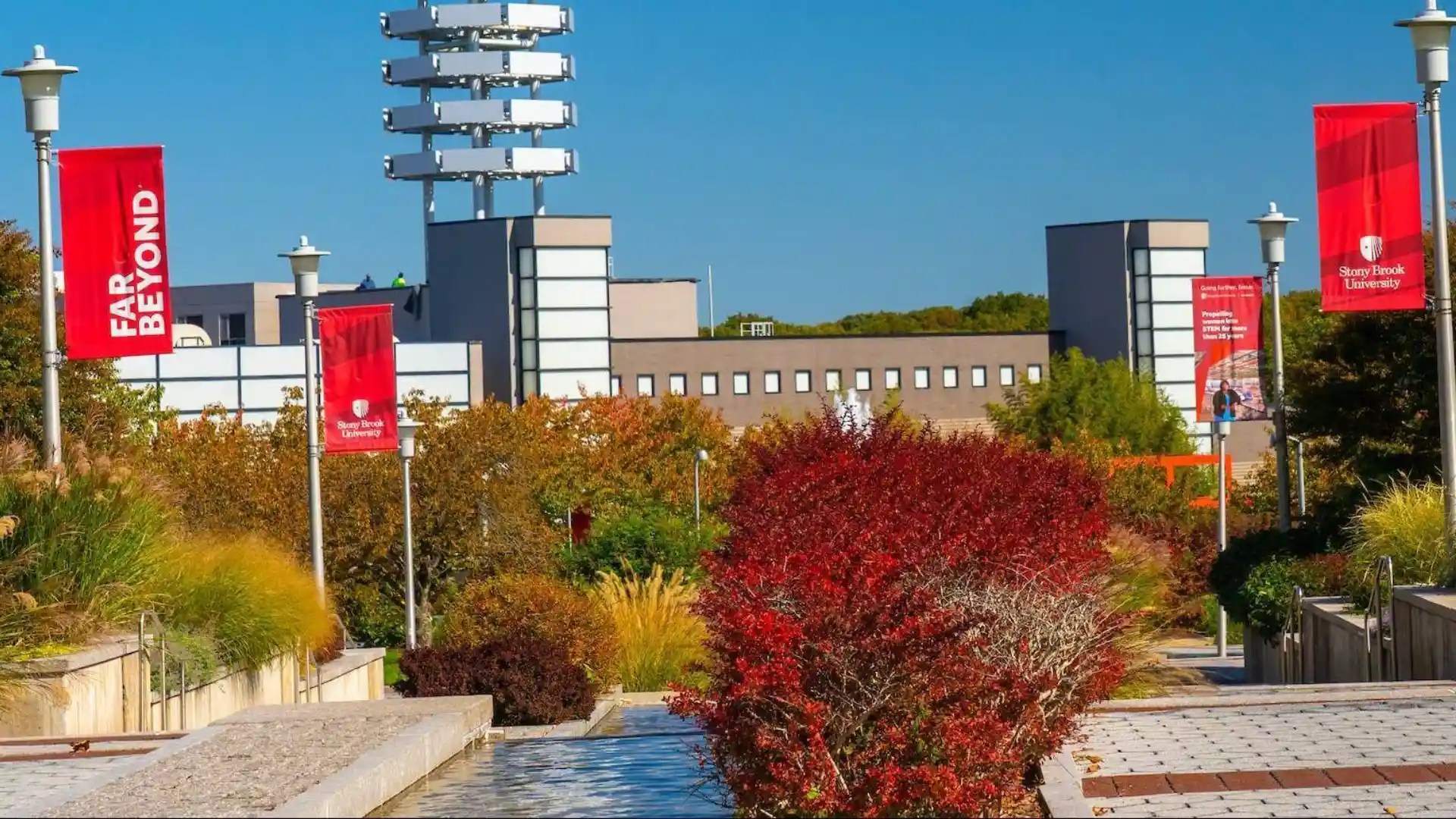 Licensing Associate Stony Brook University