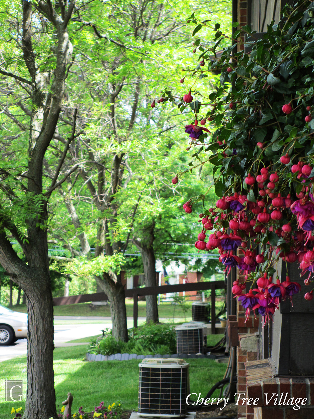 Cherry Tree Village Apartments The Gardner Group of Michigan