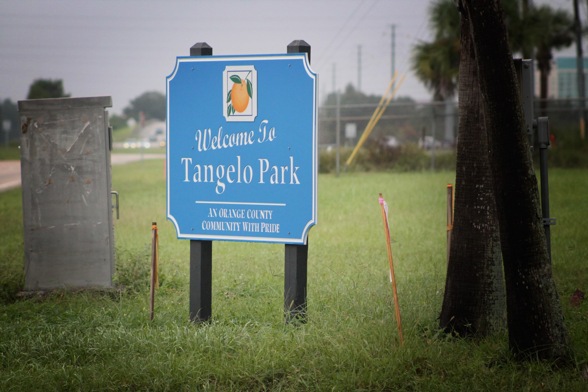 Neighborhood’s remarkable birthright Free tuition The Gargoyle