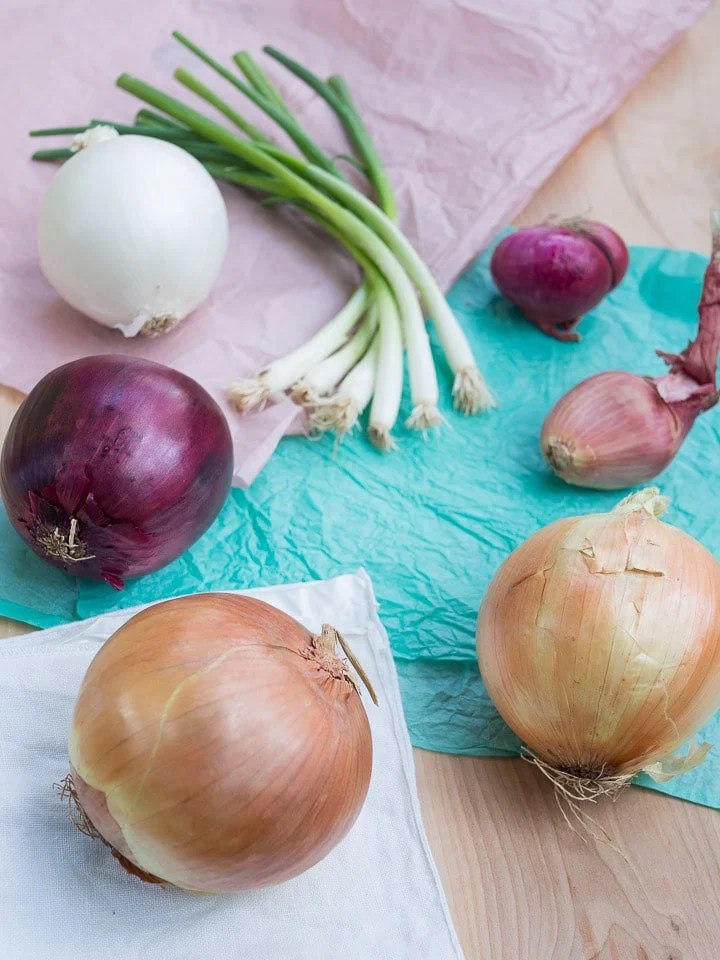 The beginner's guide to chopping and cooking onions — Garlic Delight