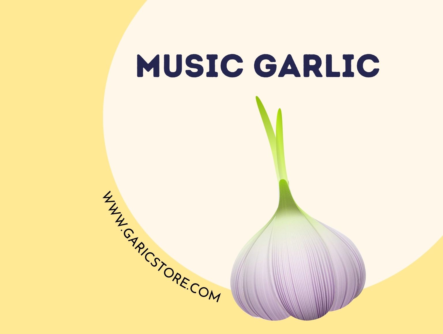 Music Garlic [Everything You Need To Know] Garlic Store