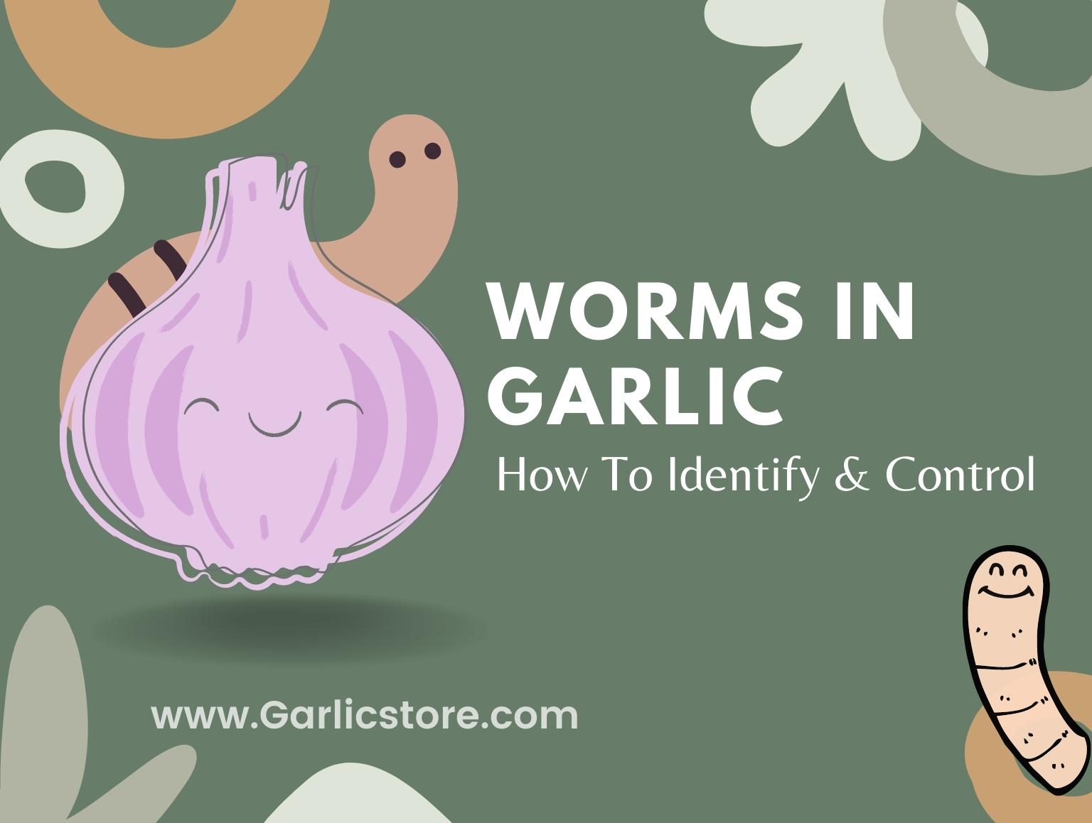 Worms In Garlic How To Identify & Control Garlic Store
