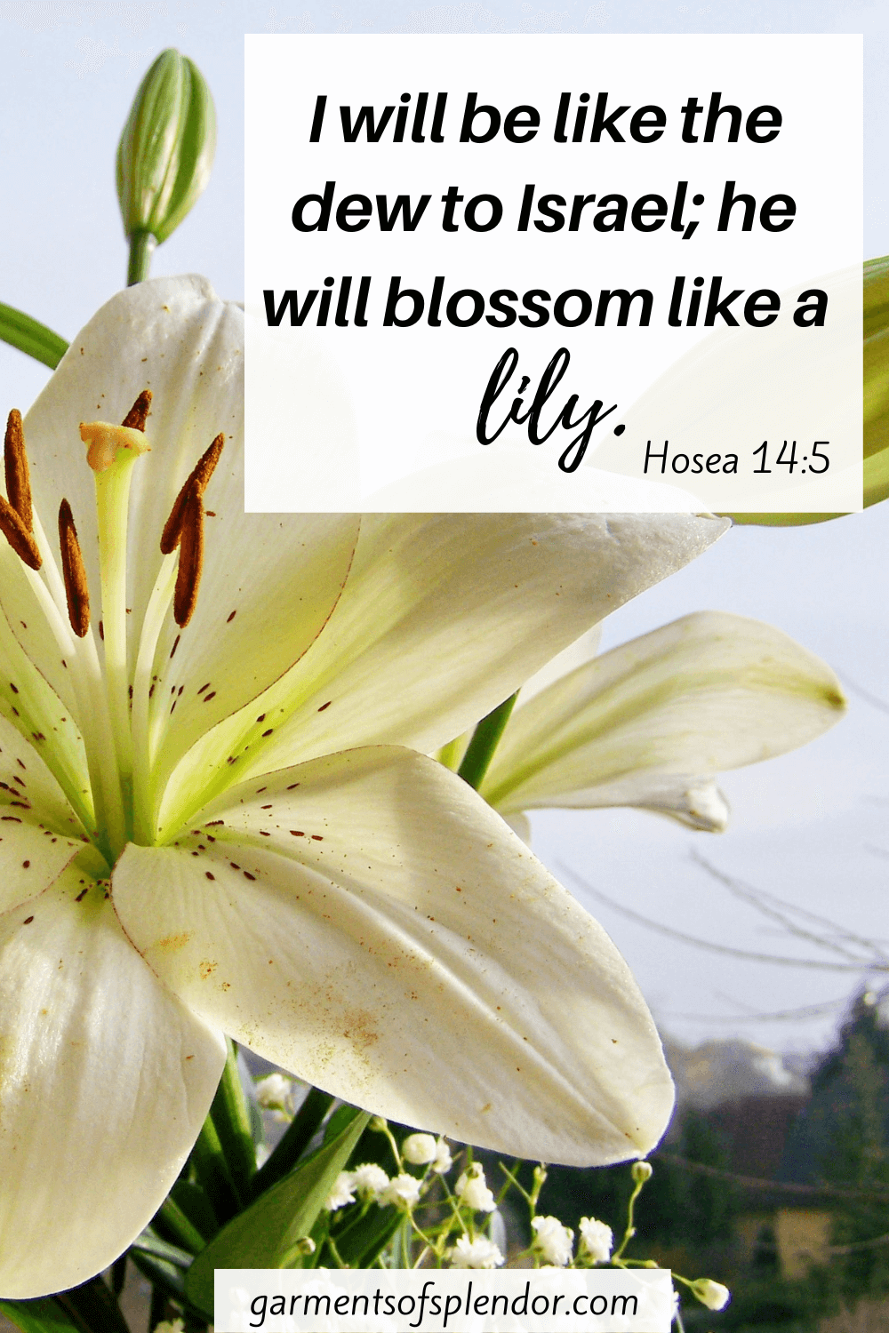 38 Encouraging Bible Verses About Flowers (with Free Printable)