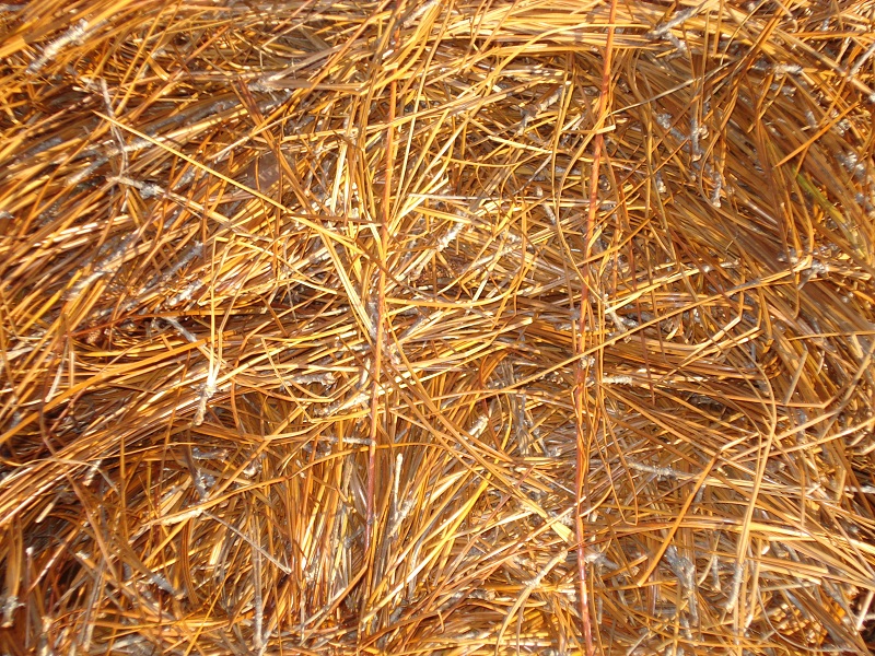 Yard Supply Garners Ferry Landscape Supply Landscaping Columbia