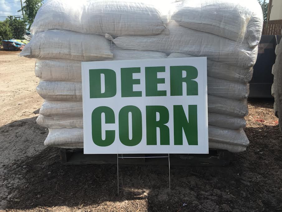 Garners Ferry Landscape Supply Mulch Columbia SC, Palm Trees Columbia