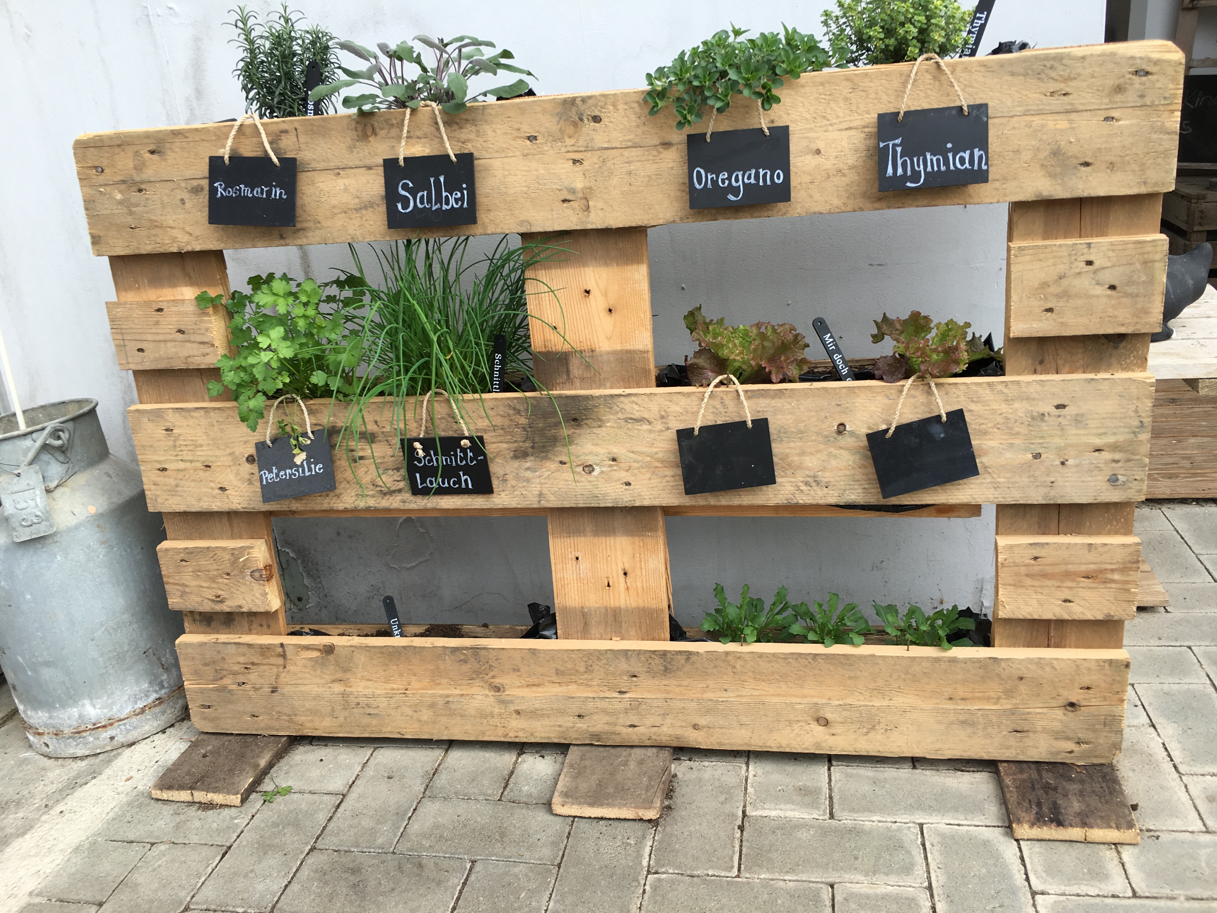 Gemüseabteilung Gartenbau Lessmann