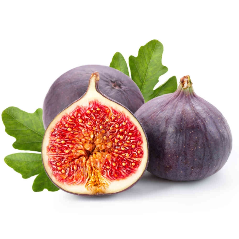Feige, Feigen, frische Feigen