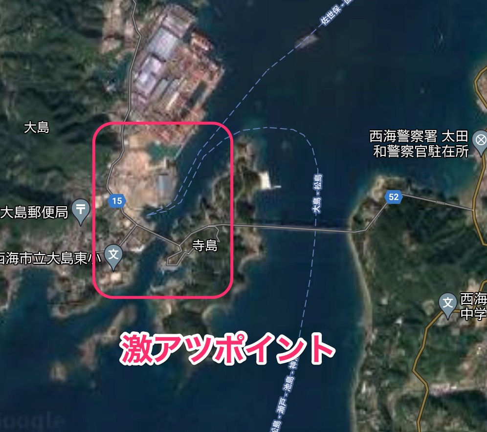 【長崎エギング】最新2021年、崎戸大島で4キロアオリイカが釣れたポイントを詳しく解説していくぅ！ ガルゾウブログ