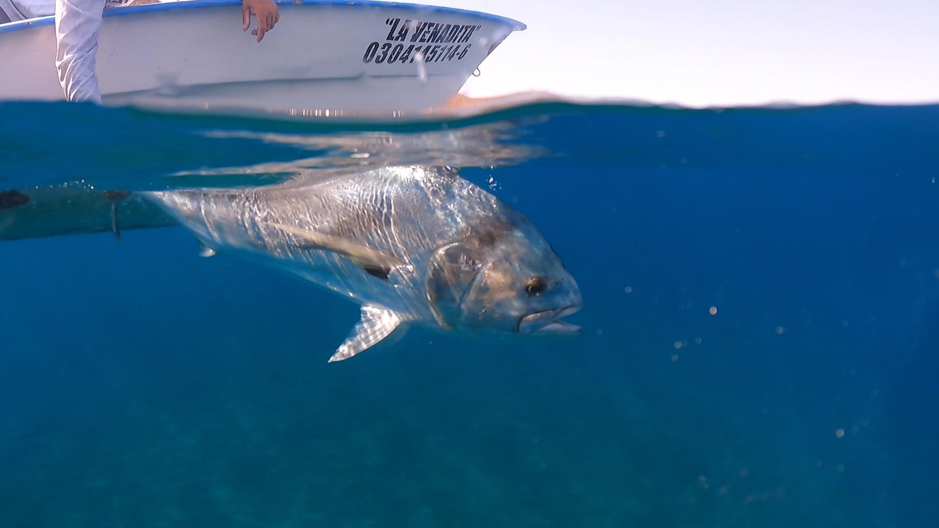 Baja Fly Fishing Photos Gary Bulla Fly Fishing