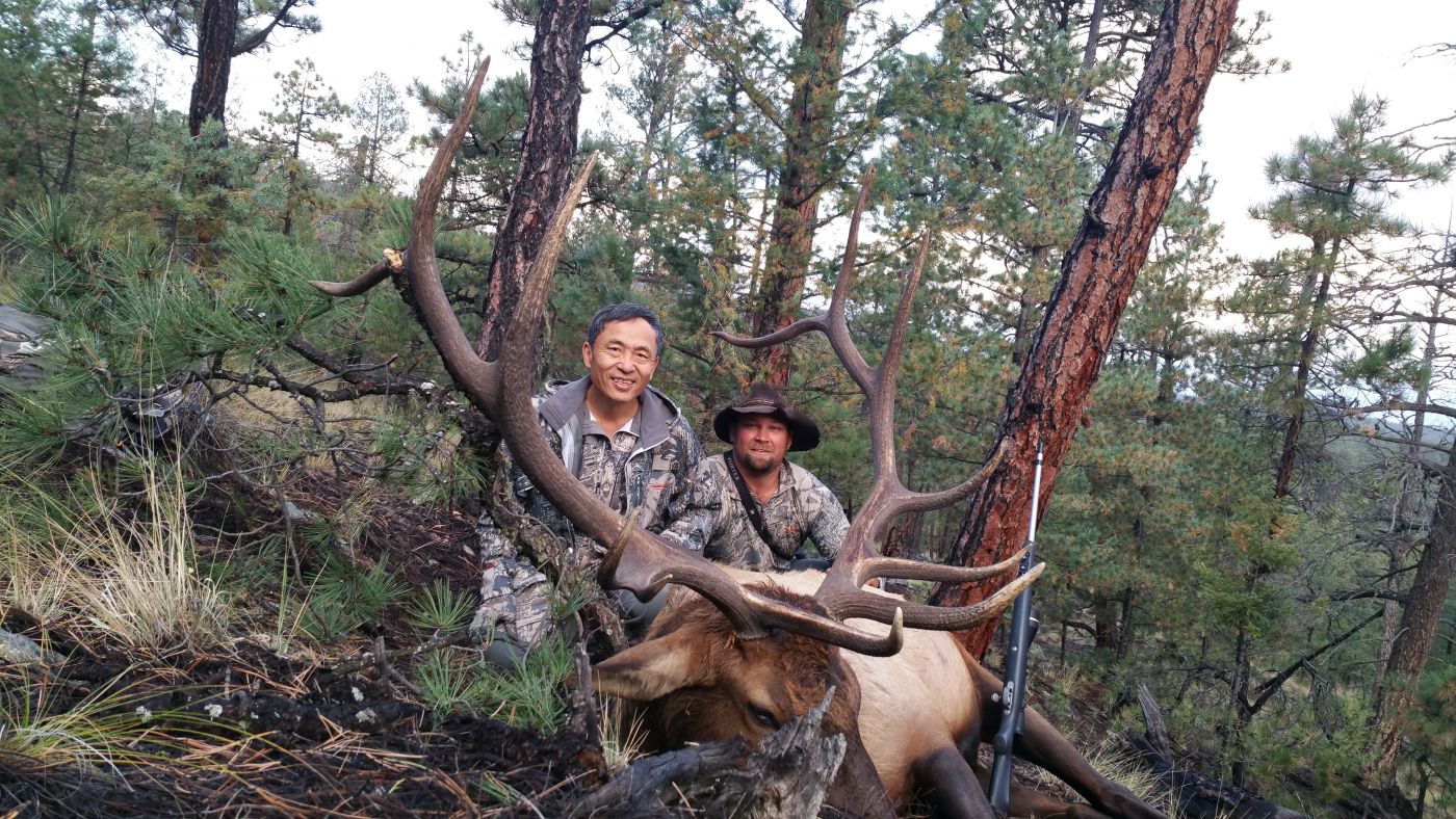 New Mexico Trophy Elk Hunting Professional Hunting Guide Gary b